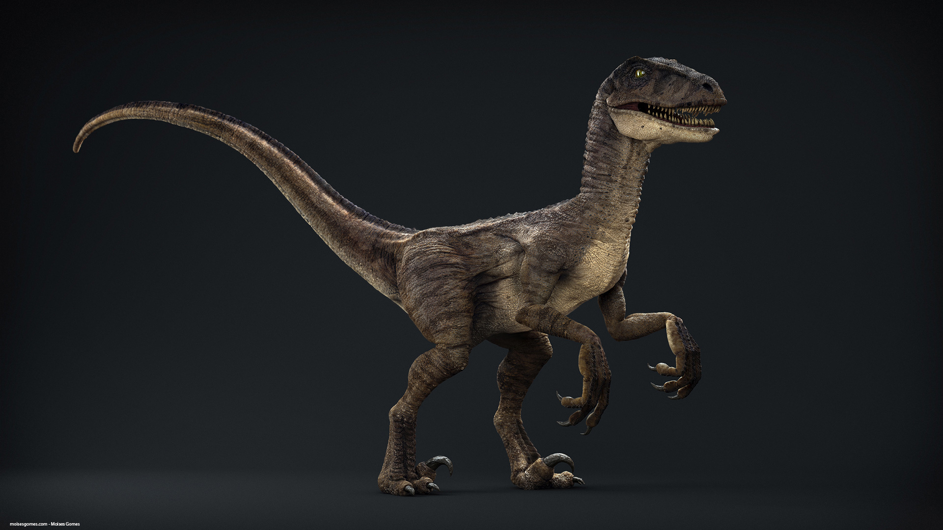 Velociraptor_Pose_00