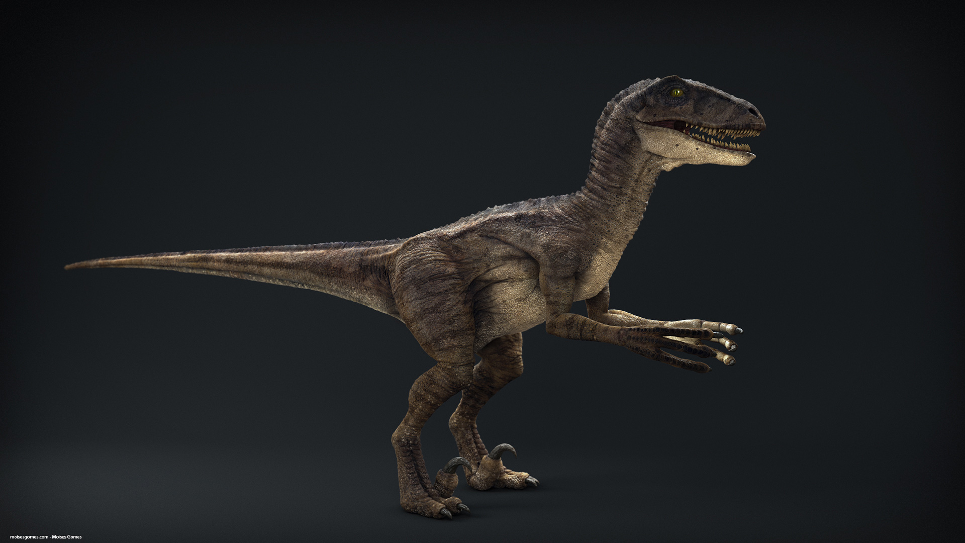 Velociraptor_Pose_01